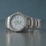 CASIO Edifice EFR-S108DE-2A