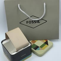 Fossil Box